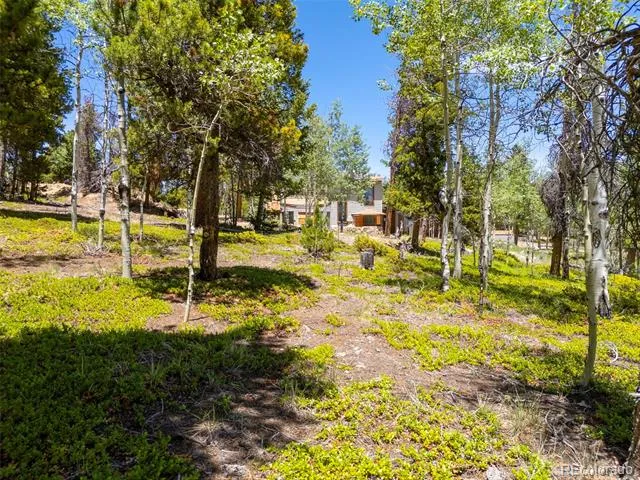 719 Miners Candle Road Idaho Springs, CO 80452
