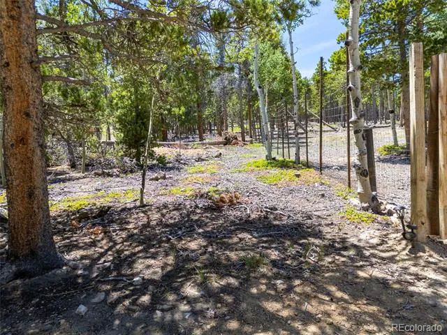 719 Miners Candle Road Idaho Springs, CO 80452