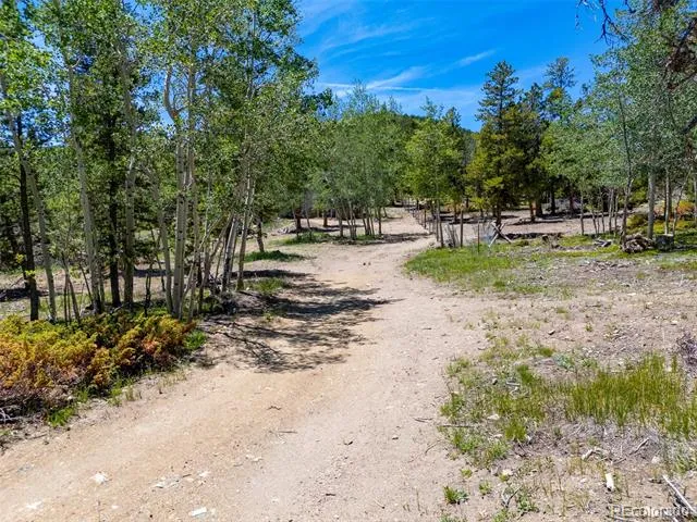 719 Miners Candle Road Idaho Springs, CO 80452