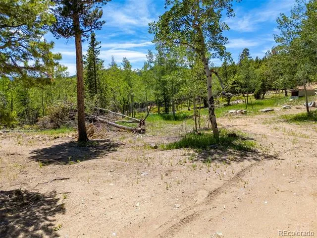 719 Miners Candle Road Idaho Springs, CO 80452