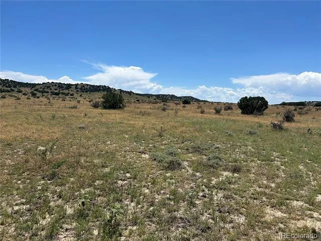 Lot 17 Longhorn Ranch Model, CO 81059