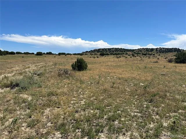 Lot 17 Longhorn Ranch Model, CO 81059
