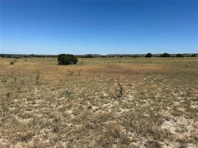 Lot 17 Longhorn Ranch Model, CO 81059