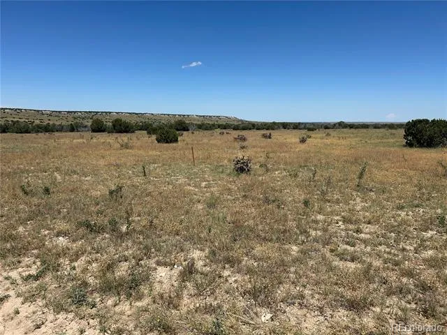 Lot 17 Longhorn Ranch Model, CO 81059