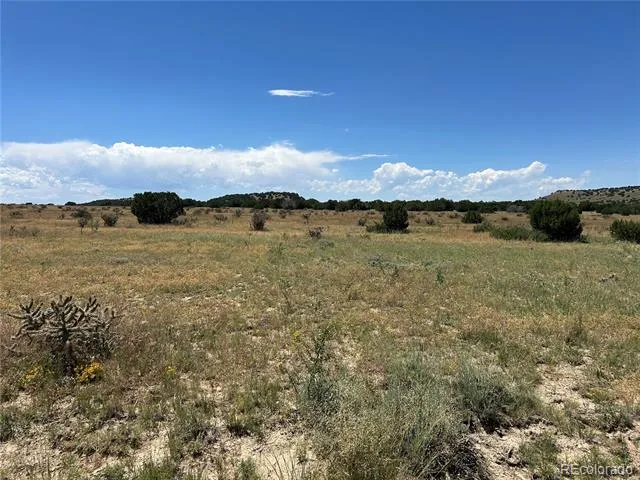 Lot 17 Longhorn Ranch Model, CO 81059