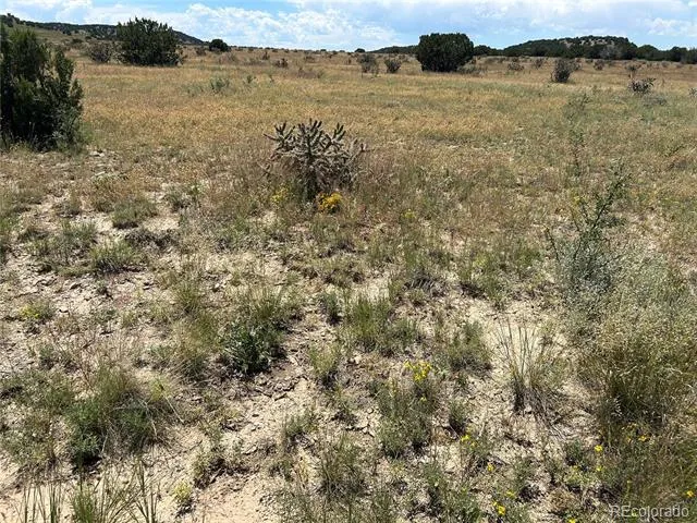 Lot 17 Longhorn Ranch Model, CO 81059