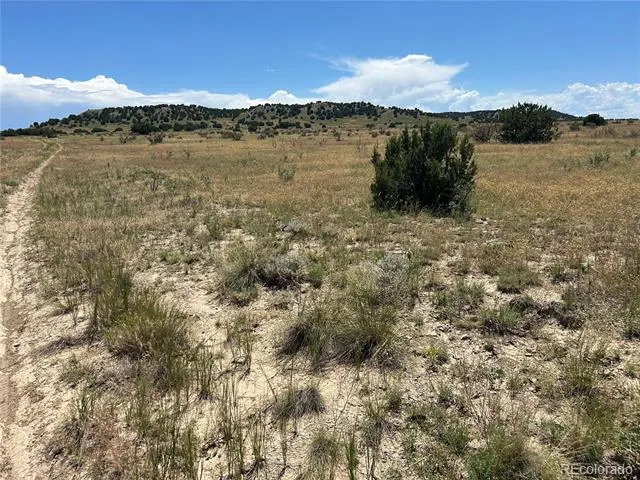 Lot 17 Longhorn Ranch Model, CO 81059