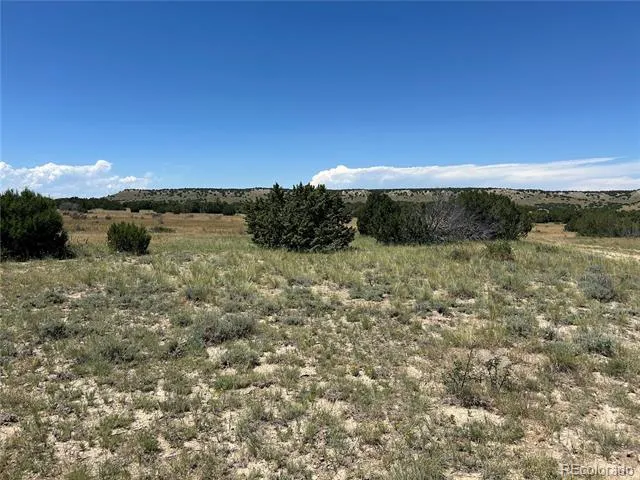 Lot 17 Longhorn Ranch Model, CO 81059