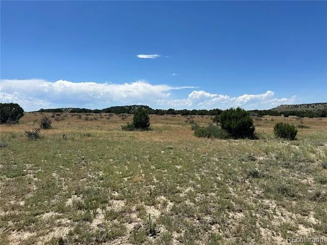 Lot 17 Longhorn Ranch Model, CO 81059