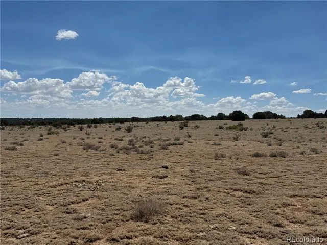 Lot H Twin Lakes Ranches Walsenburg, CO 81089