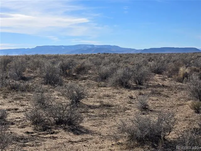 Lot 14 Traves Rd. Blanca, CO 81123