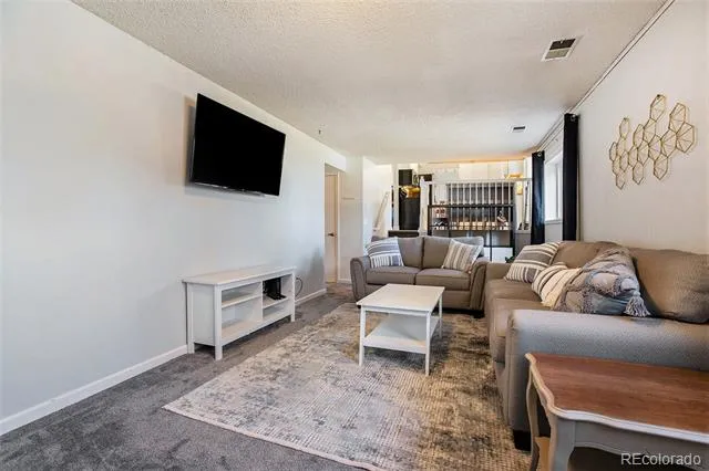994 Pleasant View Street Castle Rock, CO 80104
