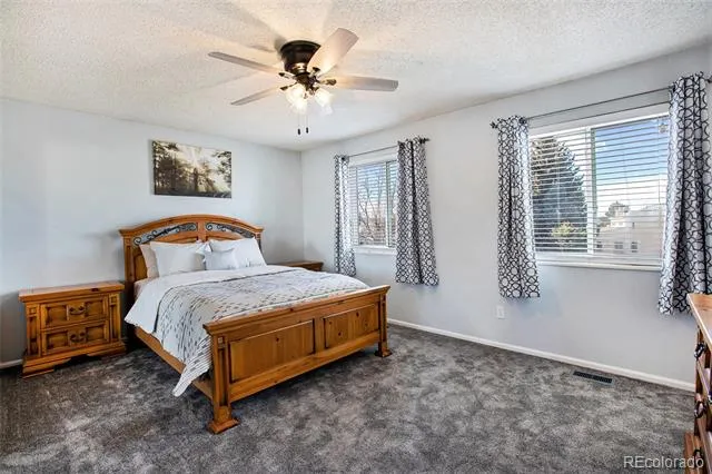 994 Pleasant View Street Castle Rock, CO 80104