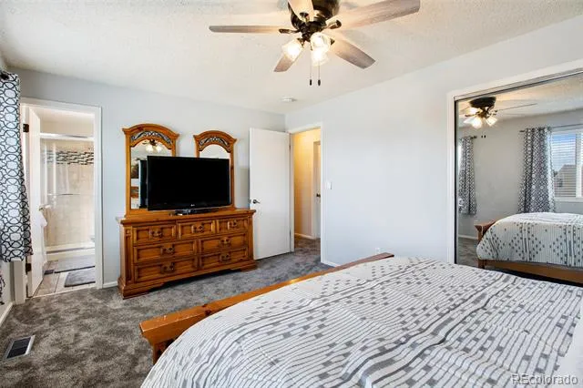 994 Pleasant View Street Castle Rock, CO 80104