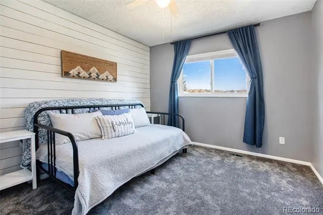 994 Pleasant View Street Castle Rock, CO 80104