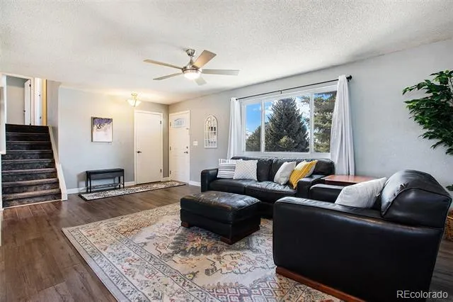 994 Pleasant View Street Castle Rock, CO 80104