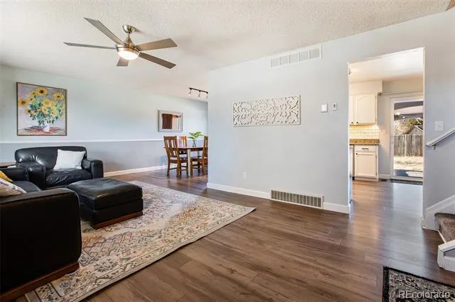994 Pleasant View Street Castle Rock, CO 80104