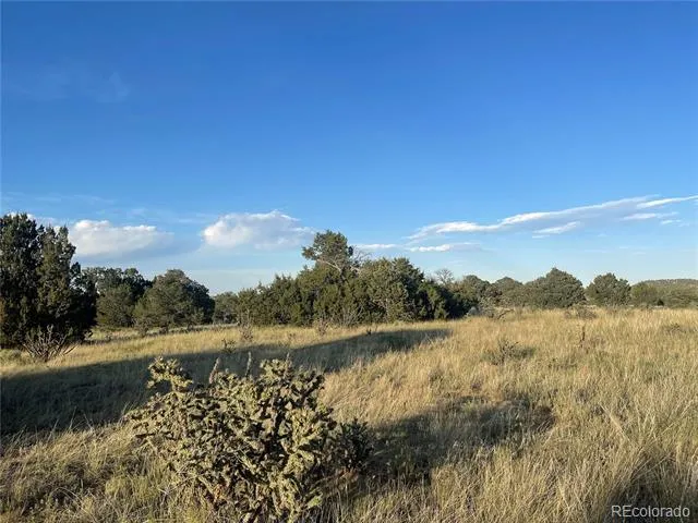 Address Not Shown Walsenburg, CO 81089