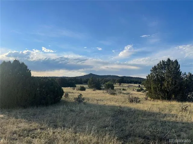 Address Not Shown Walsenburg, CO 81089