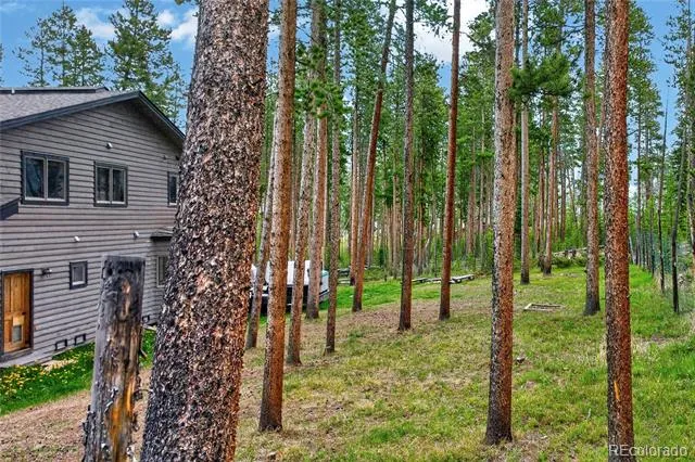 96 Cougar Avenue Fraser, CO 80442