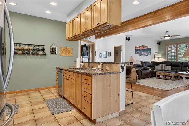 96 Cougar Avenue Fraser, CO 80442