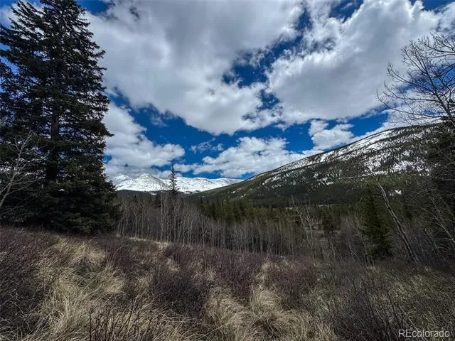 Buckeye Gulch Road Leadville, CO 80461
