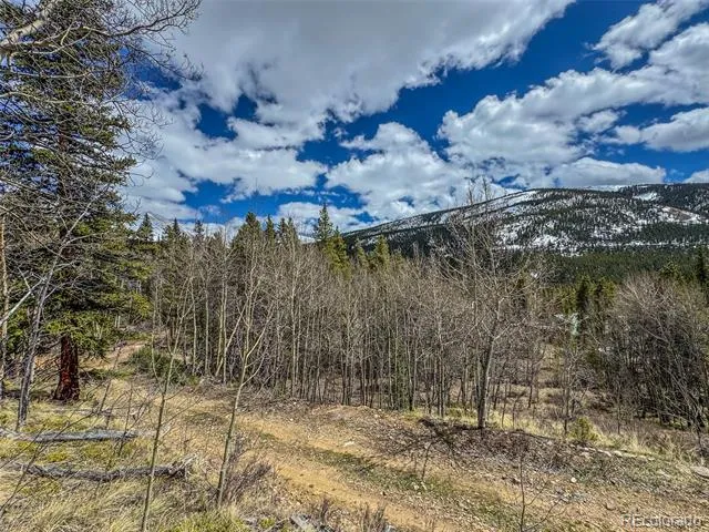 Buckeye Gulch Road Leadville, CO 80461