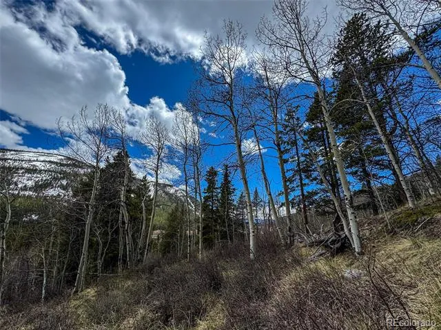 Buckeye Gulch Road Leadville, CO 80461