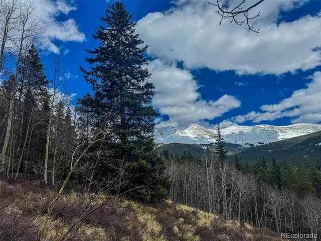 Buckeye Gulch Road Leadville, CO 80461
