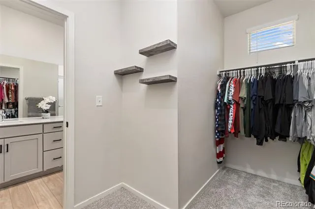 1805 Bounty Drive #3 Windsor, CO 80550