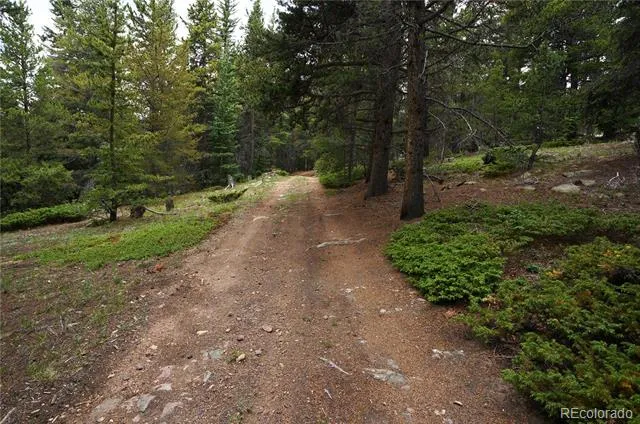 00 Lamartine Road Idaho Springs, CO 80452