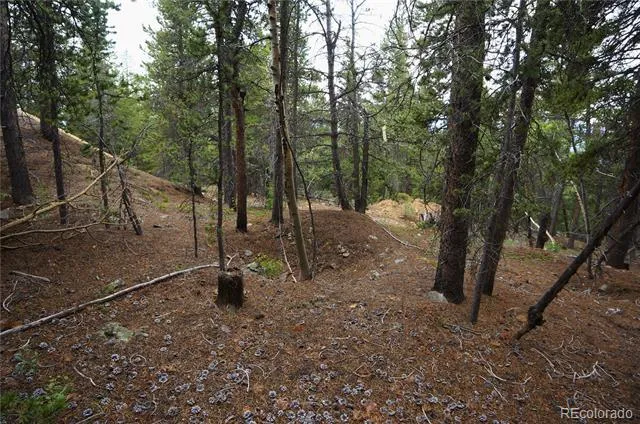00 Lamartine Road Idaho Springs, CO 80452