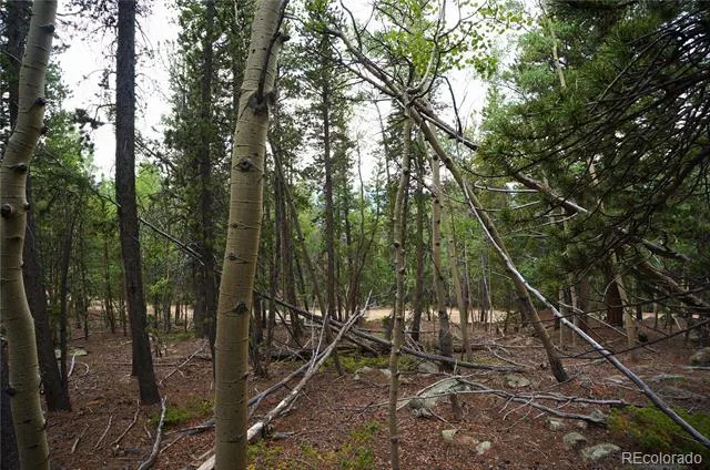 00 Lamartine Road Idaho Springs, CO 80452