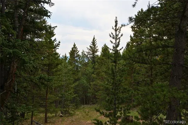 00 Lamartine Road Idaho Springs, CO 80452