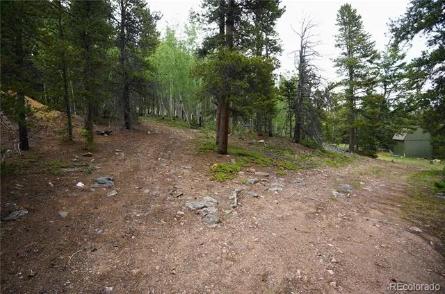 00 Lamartine Road Idaho Springs, CO 80452
