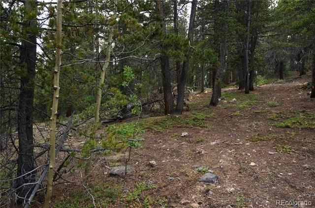 00 Lamartine Road Idaho Springs, CO 80452