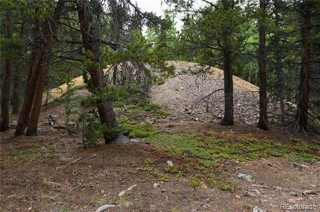00 Lamartine Road Idaho Springs, CO 80452