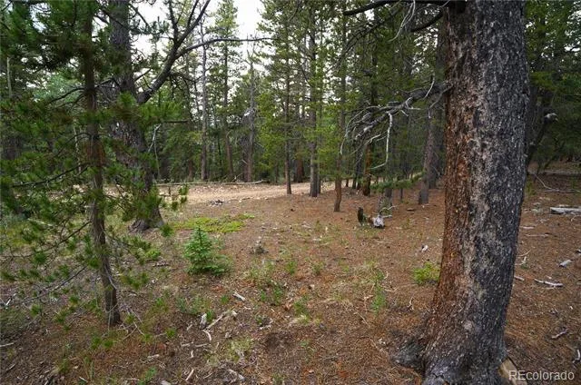00 Lamartine Road Idaho Springs, CO 80452