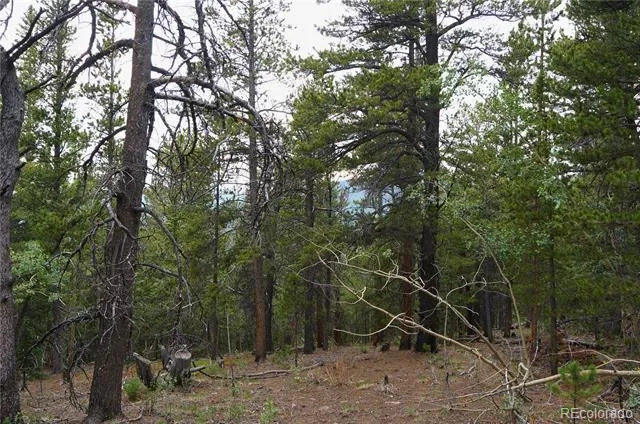00 Lamartine Road Idaho Springs, CO 80452