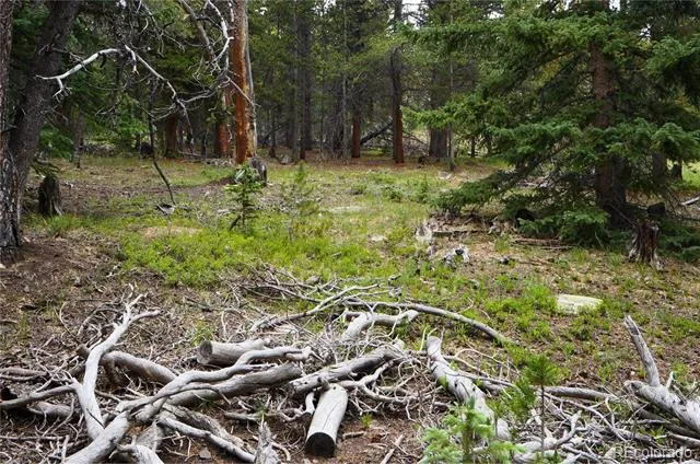 00 Lamartine Road Idaho Springs, CO 80452