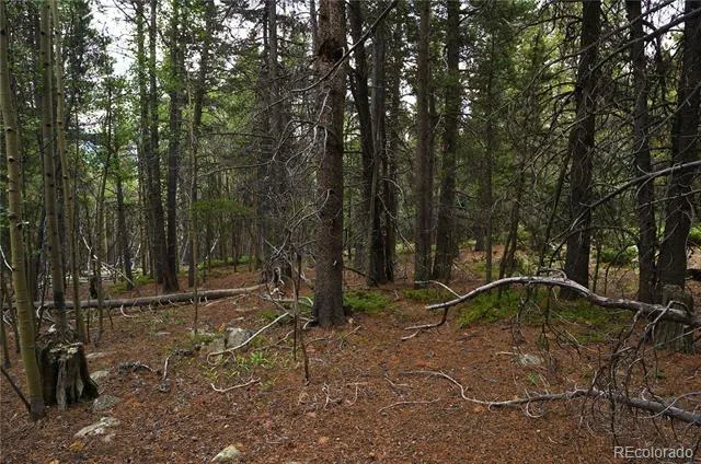 00 Lamartine Road Idaho Springs, CO 80452