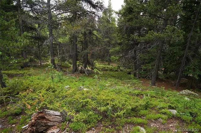 00 Lamartine Road Idaho Springs, CO 80452