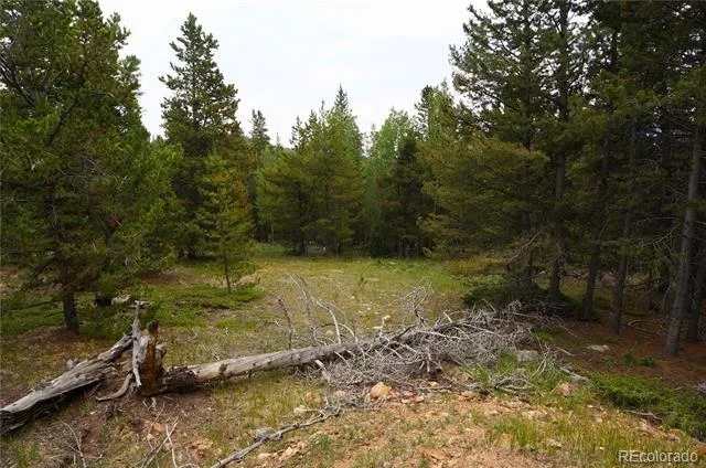 00 Lamartine Road Idaho Springs, CO 80452