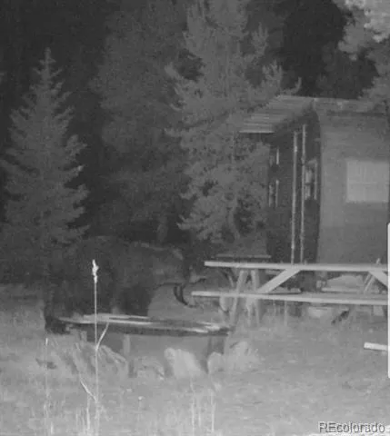 00 Lamartine Road Idaho Springs, CO 80452