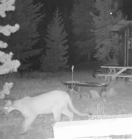 00 Lamartine Road Idaho Springs, CO 80452