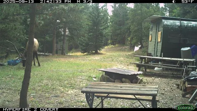 00 Lamartine Road Idaho Springs, CO 80452