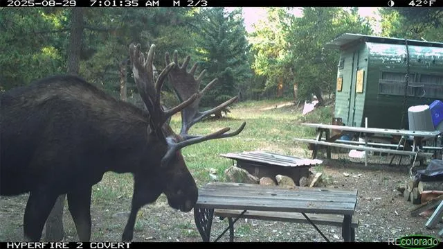 00 Lamartine Road Idaho Springs, CO 80452