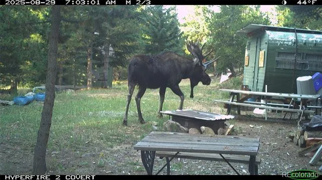 00 Lamartine Road Idaho Springs, CO 80452