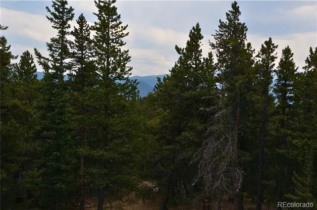 00 Lamartine Road Idaho Springs, CO 80452