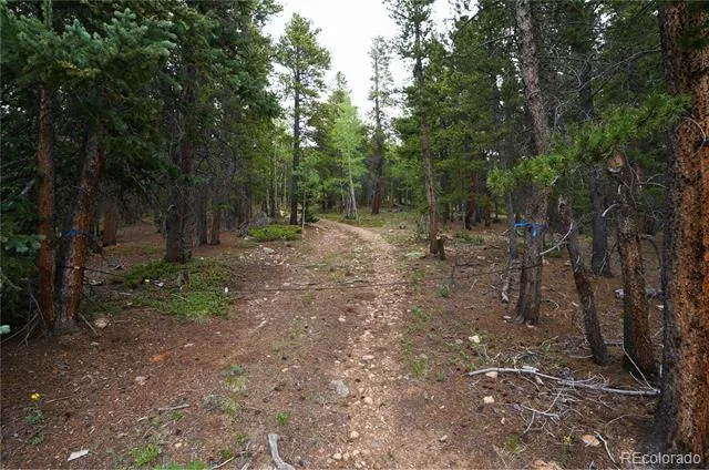 00 Lamartine Road Idaho Springs, CO 80452